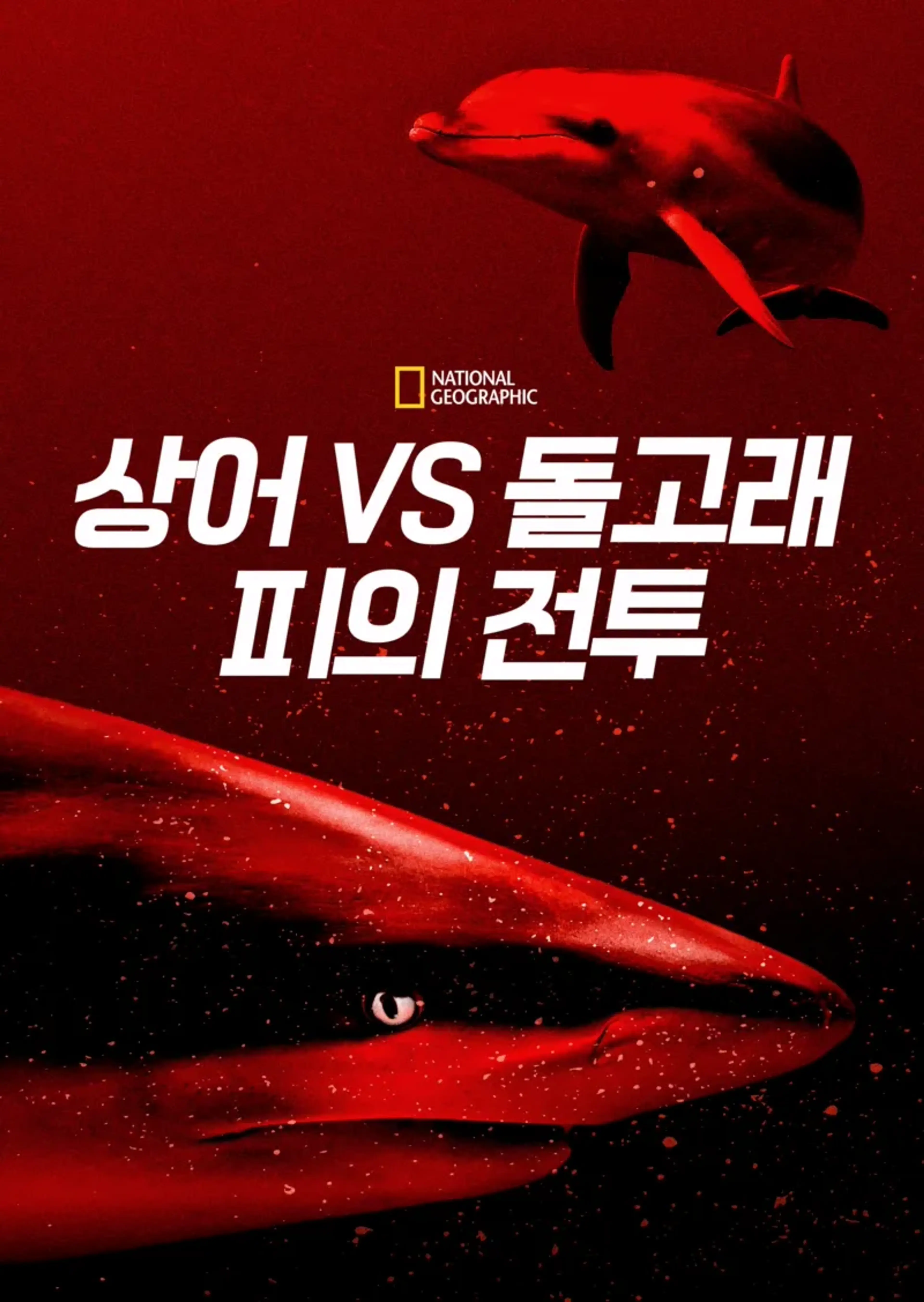 상어 vs 돌고래: 피의 전투