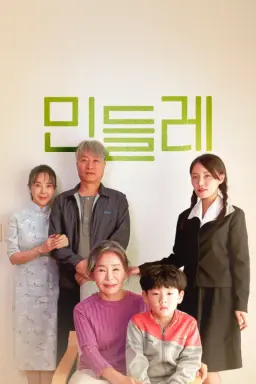 민들레