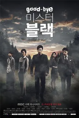 굿바이 미스터 블랙