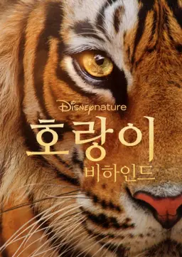 호랑이 비하인드