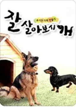 잘살아보시개 시즌 1