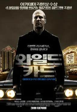 와일드 카드