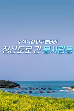 청산도로 간 뭍사람들