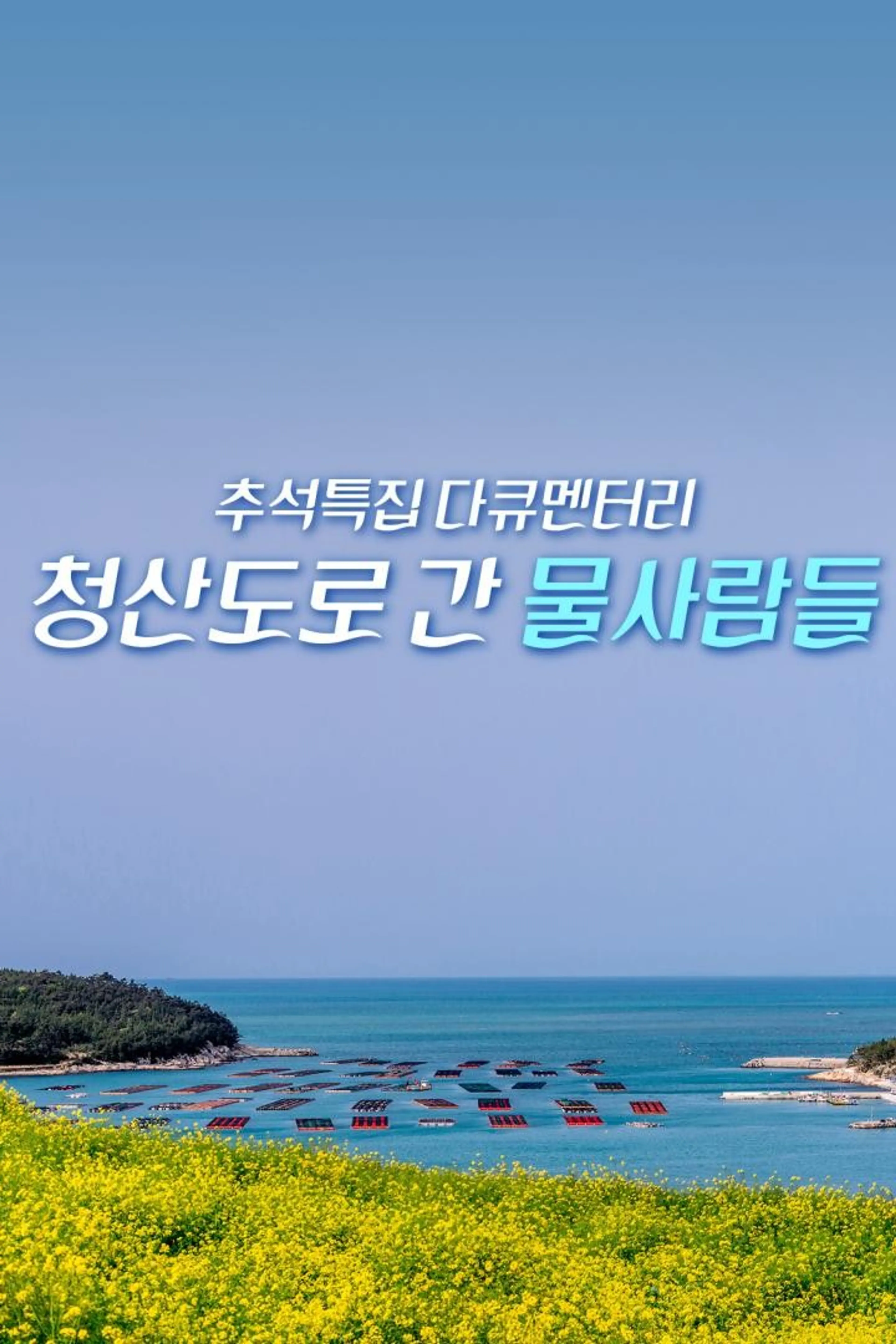 청산도로 간 뭍사람들