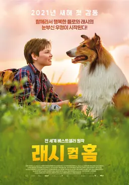 래시컴 홈