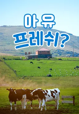 채널A 특별기획 아유 프레쉬?