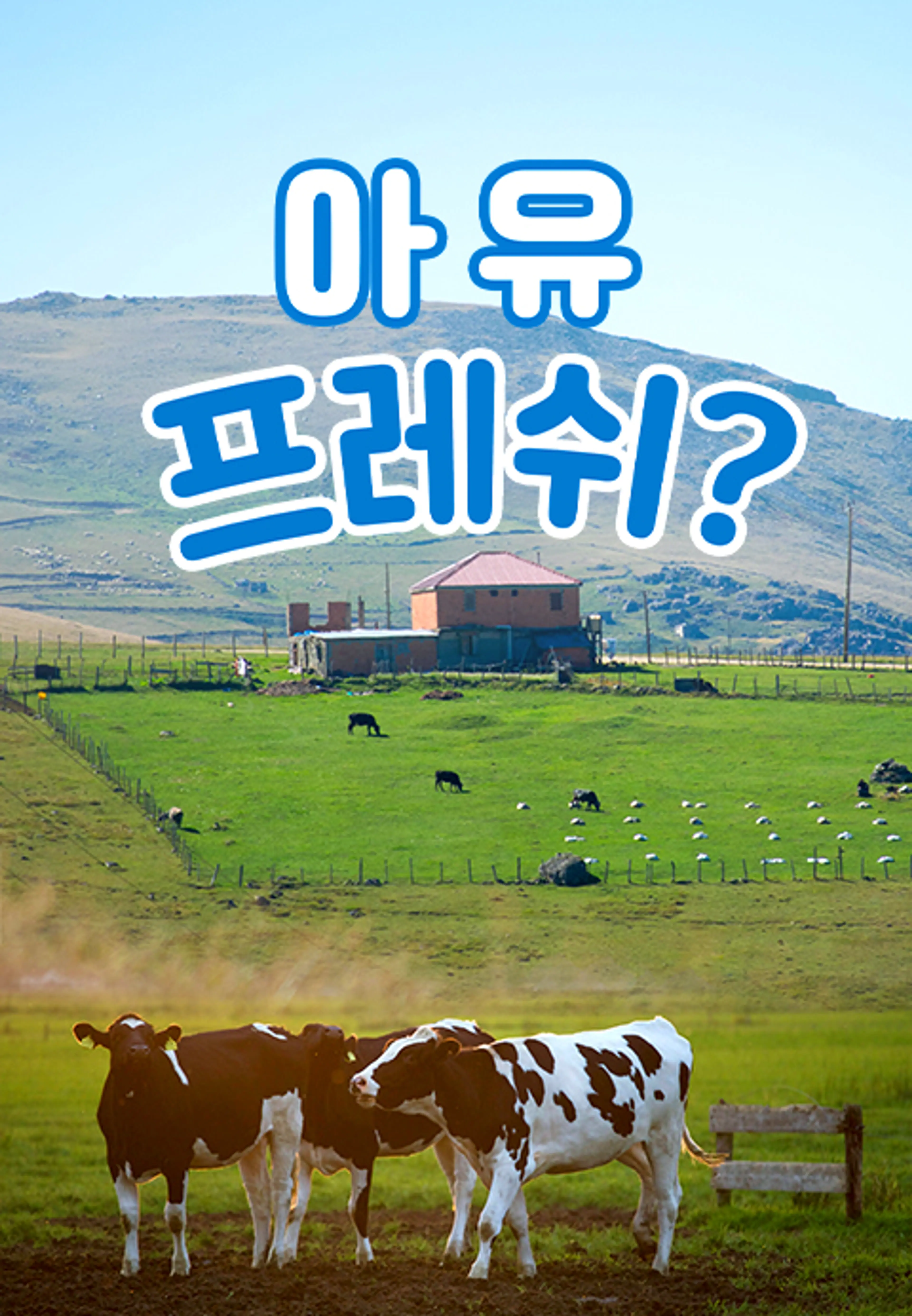 채널A 특별기획 아유 프레쉬?