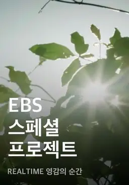 EBS 스페셜 프로젝트 - REALTIME