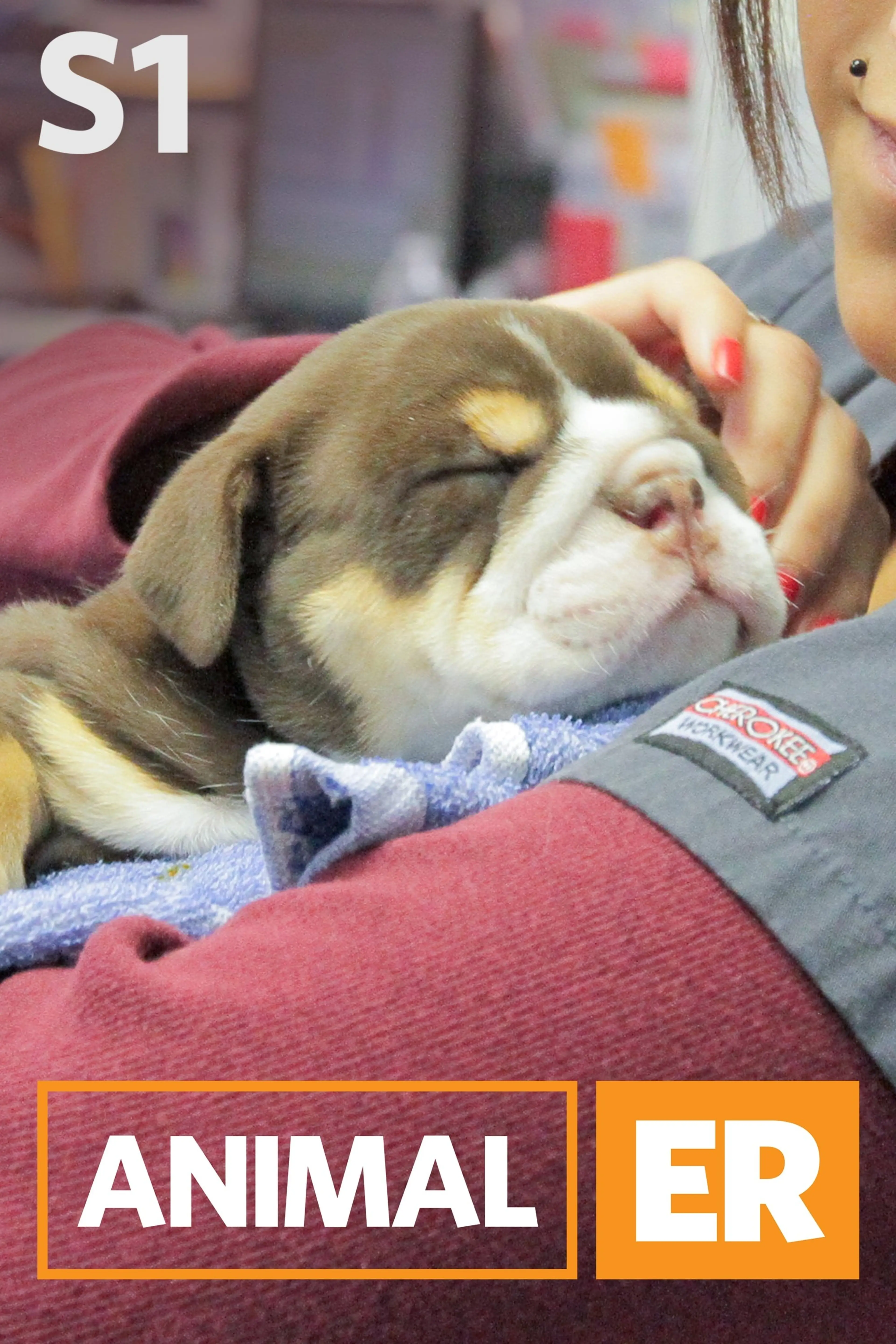 동물 응급 구조대 시즌1