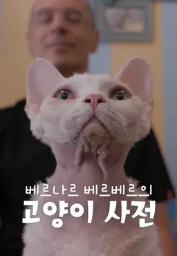 베르나르 베르베르의 고양이 사전