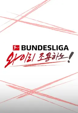 BUNDESLIGA 와 이리 조용하노!