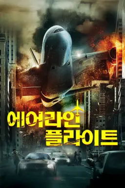 에어라인 플라이트