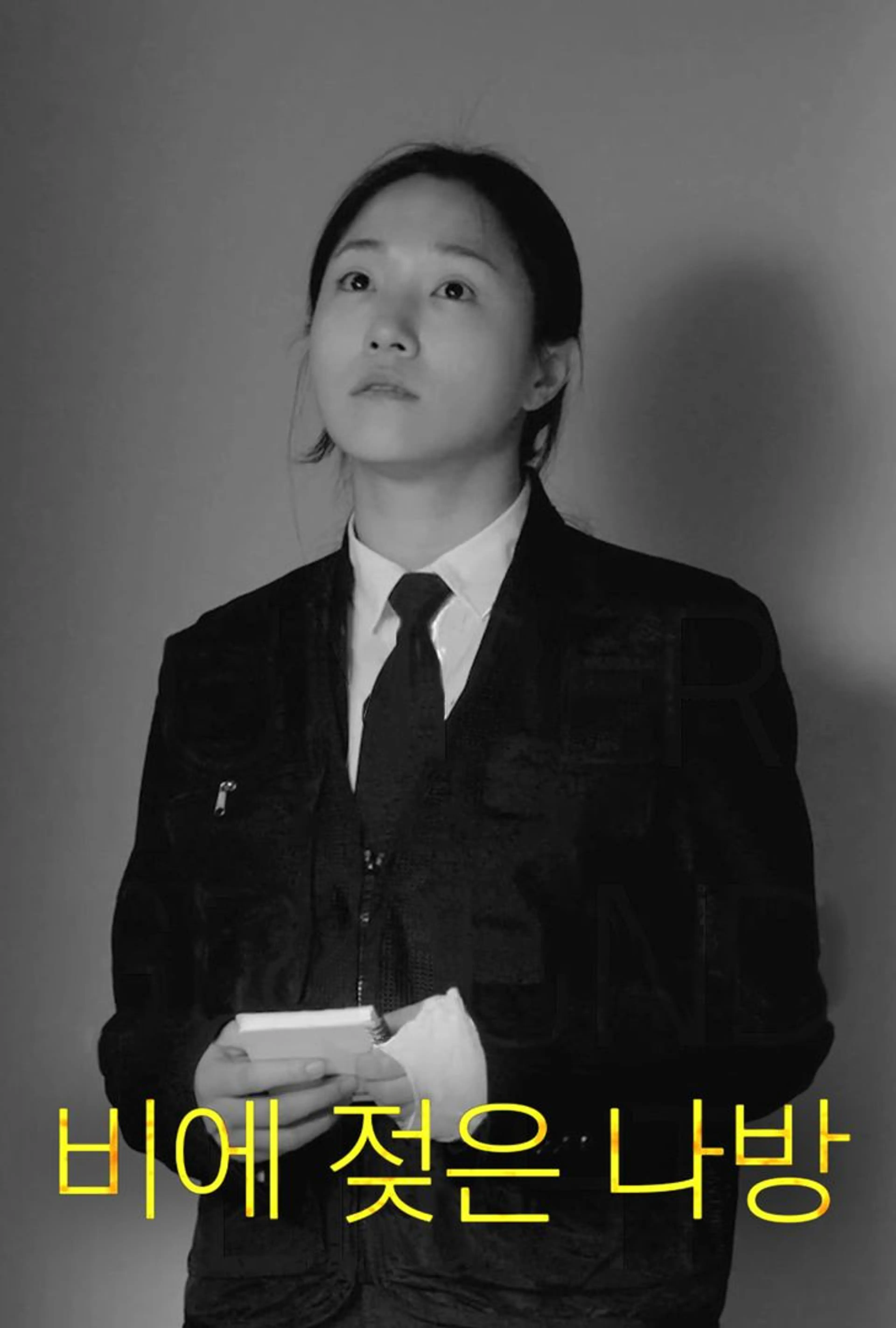 비에 젖은 나방