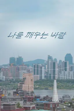 나를 깨우는 바람