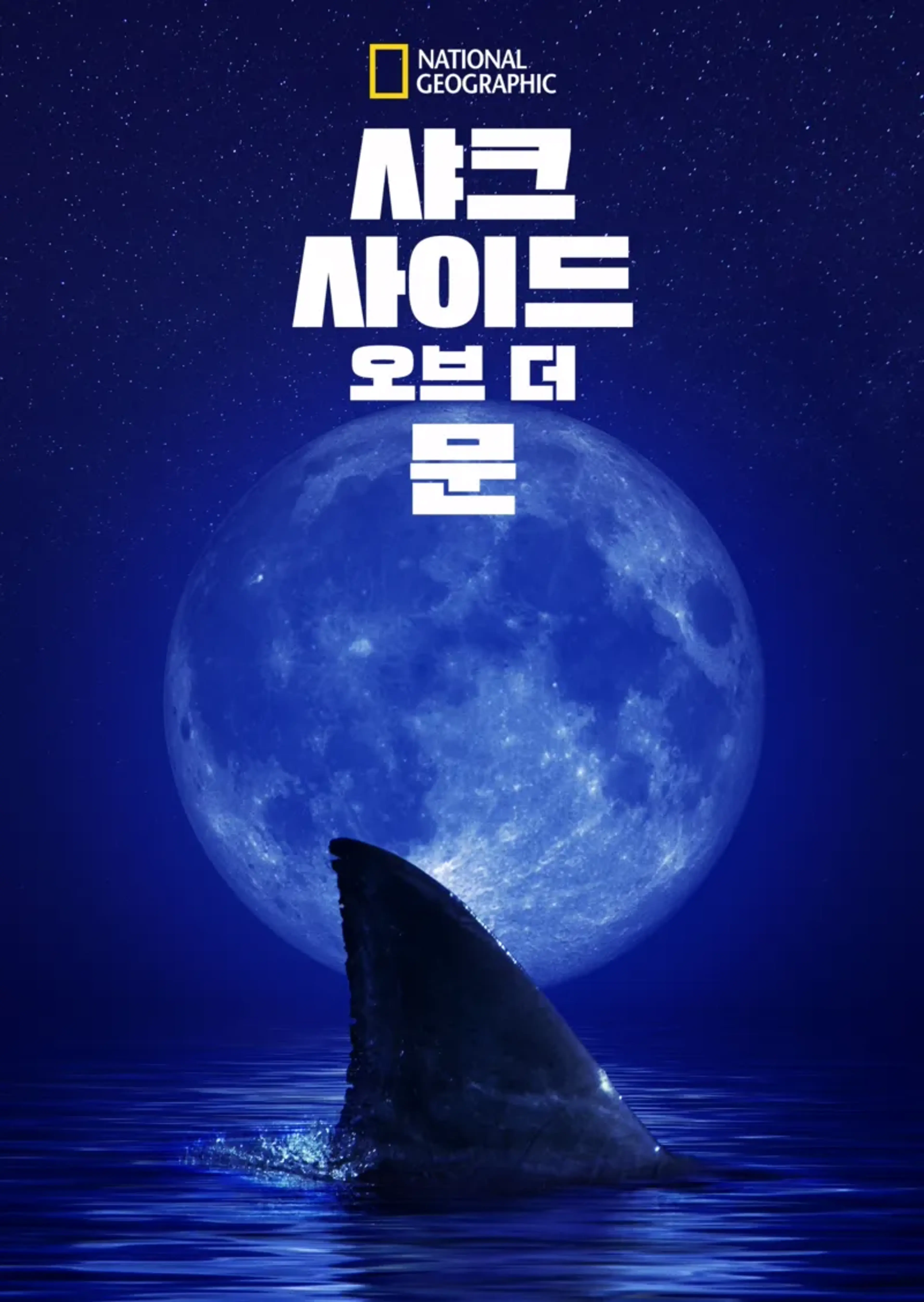 샤크 사이드 오브 더 문