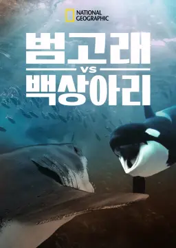 범고래 vs 백상아리