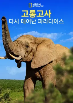 고롱고사: 다시 태어난 파라다이스