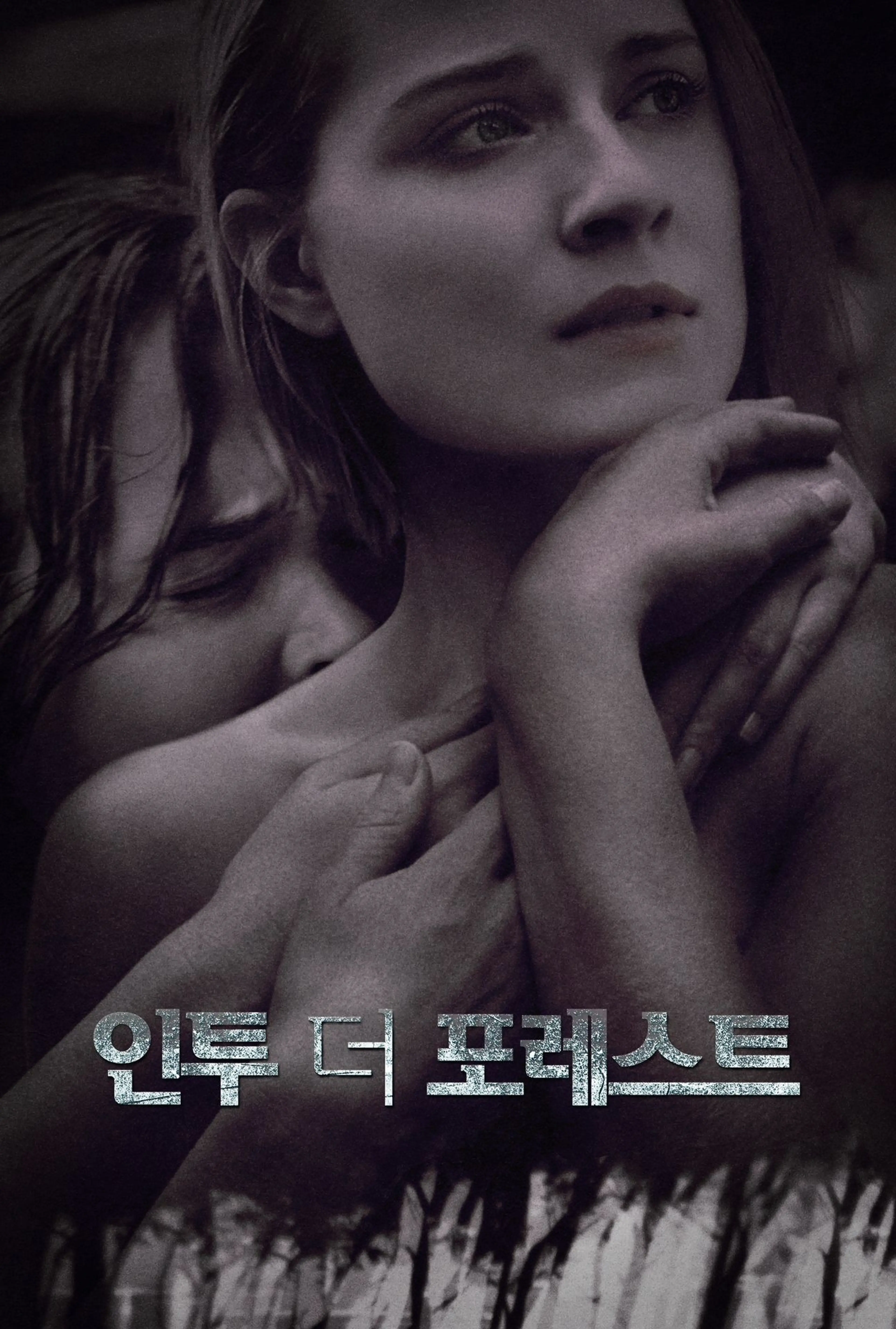 인투 더 포레스트
