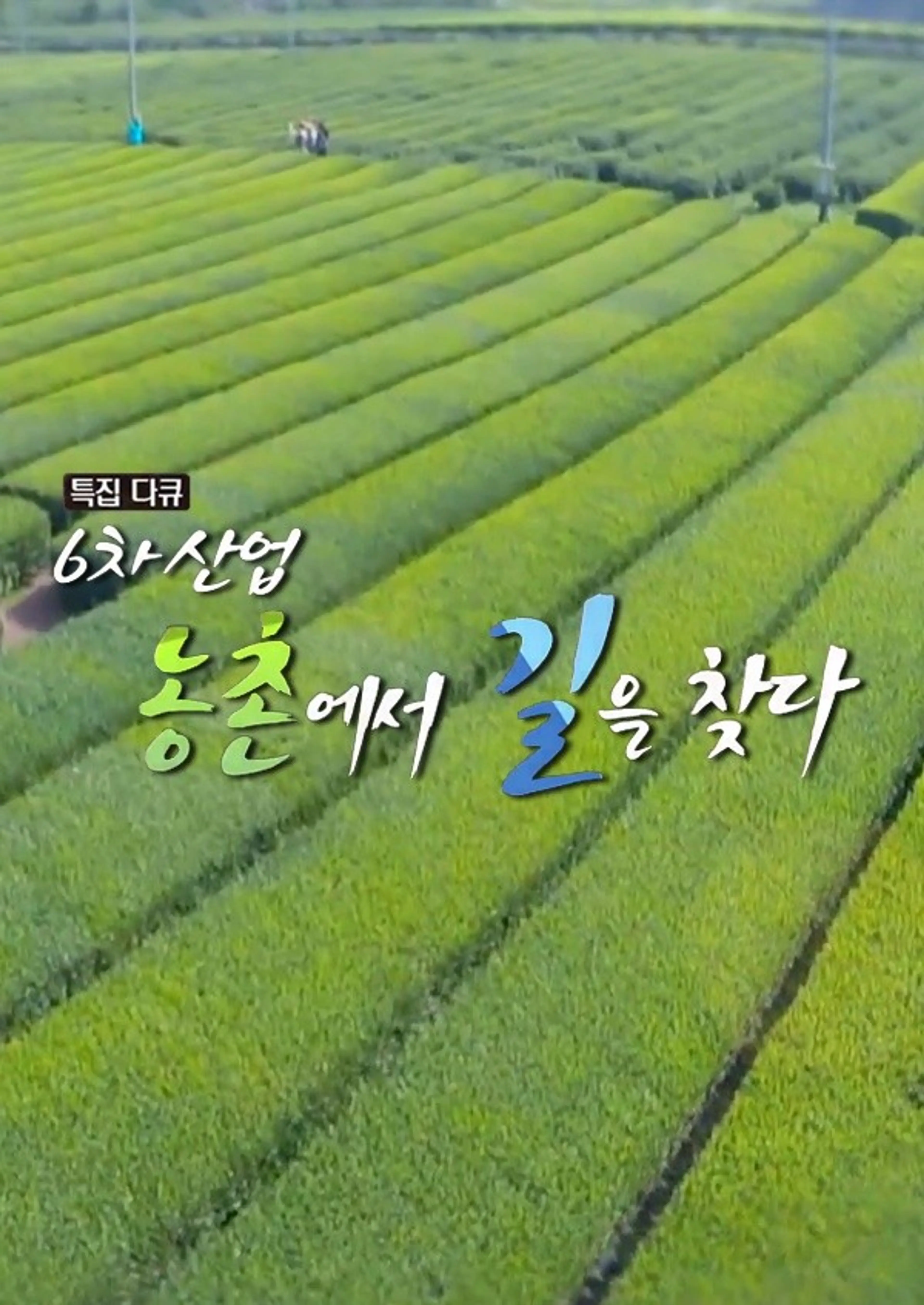 농촌에서 길을 찾다