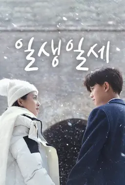 일생일세