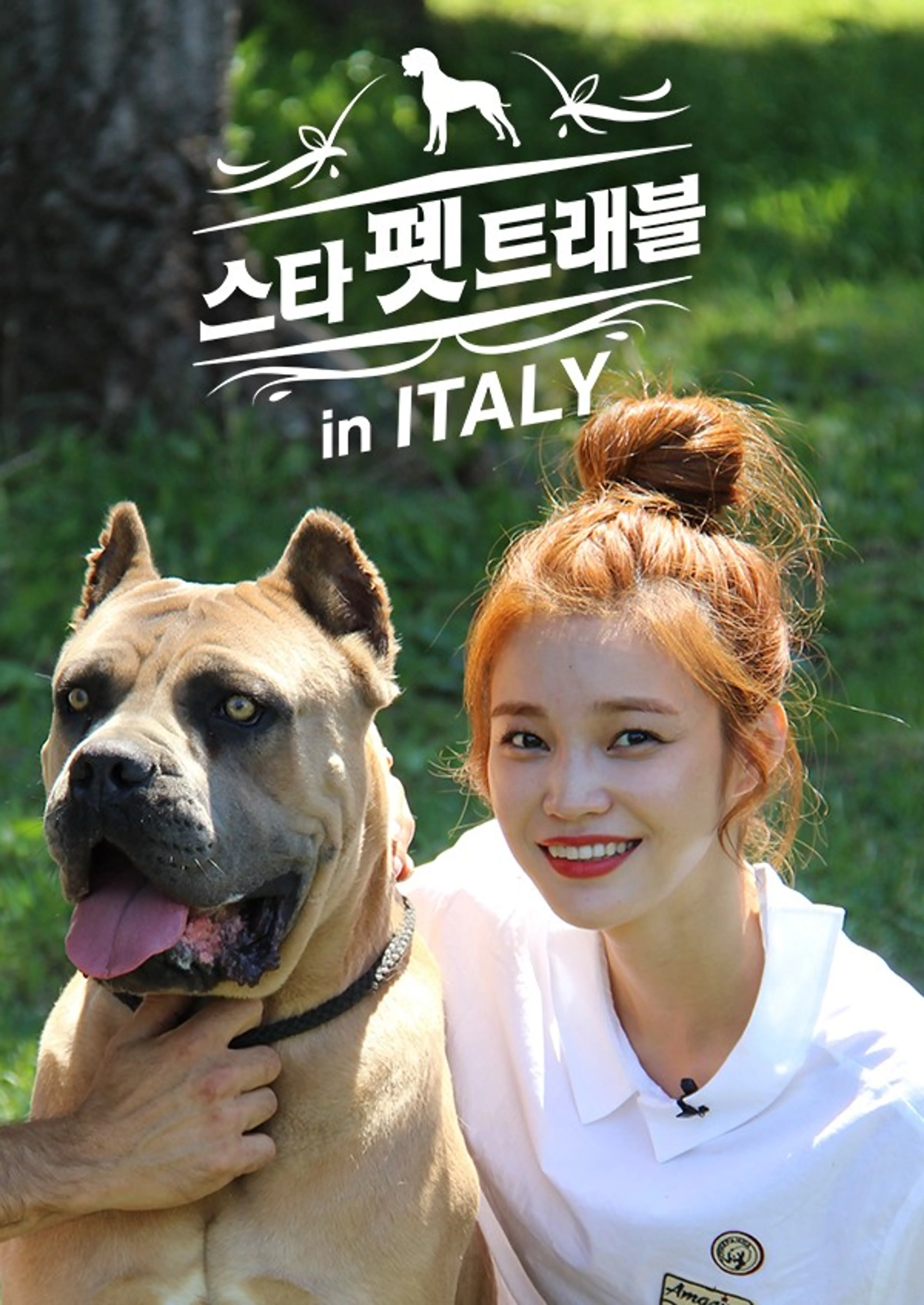 스타 펫 트래블 in ITALY