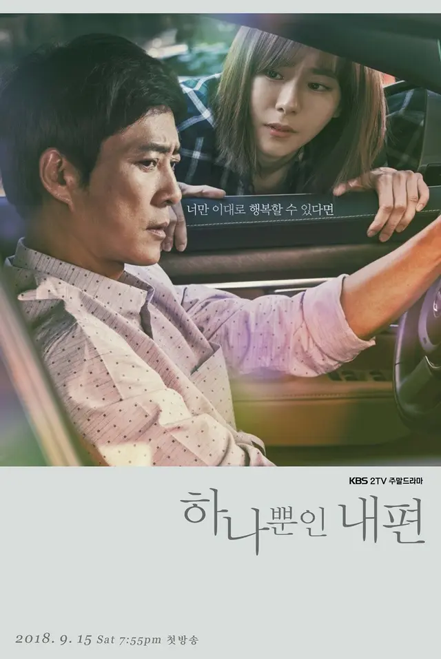하나뿐인 내편