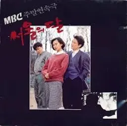 서울의 달