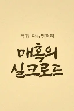 매혹의 실크로드 4부작