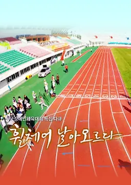 휠체어, 날아 오르다