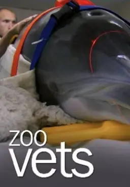 동물원 수의사들