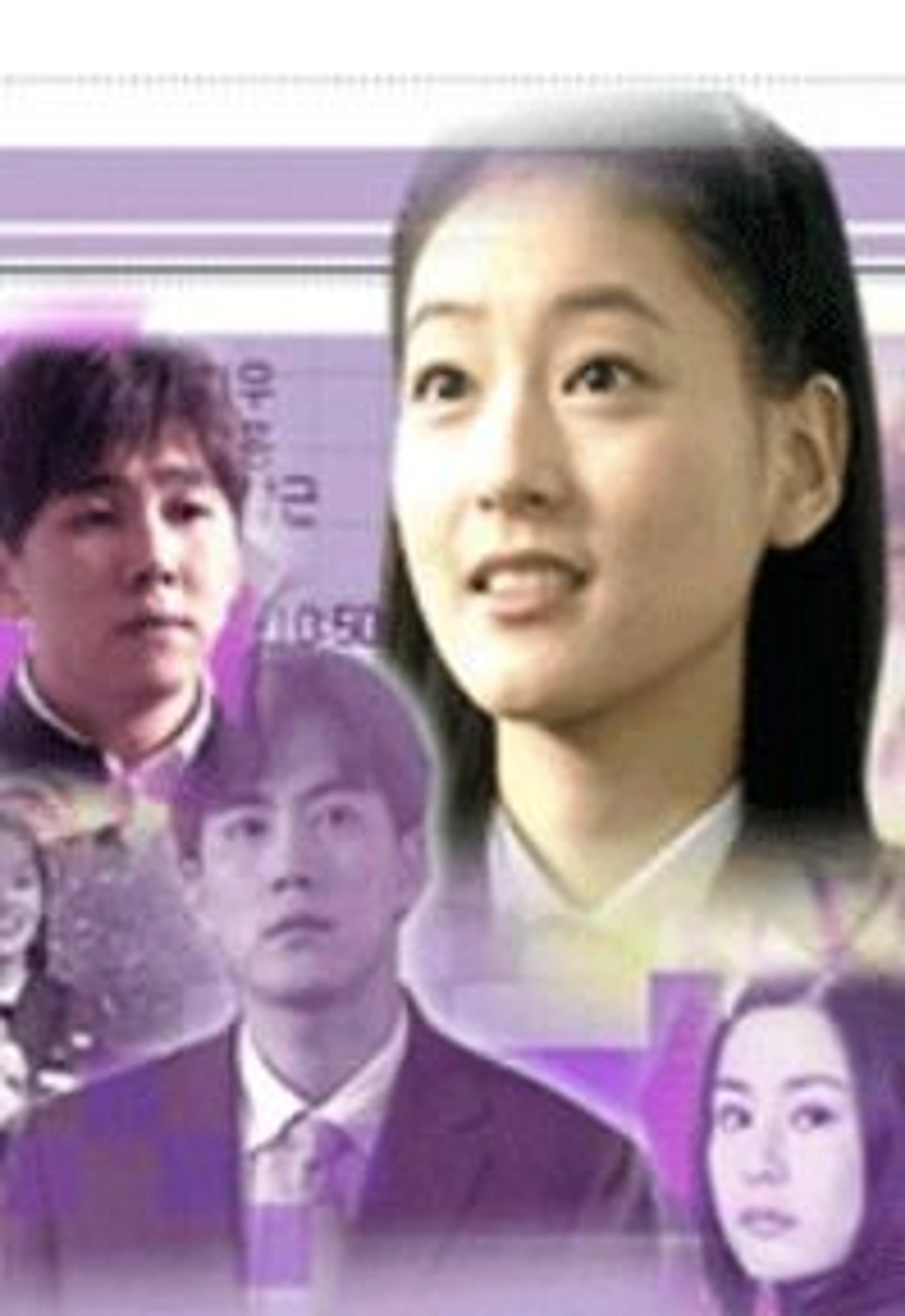 비단향 꽃무
