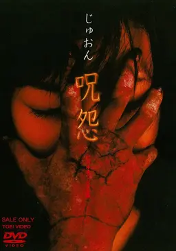 주온 - 비디오판