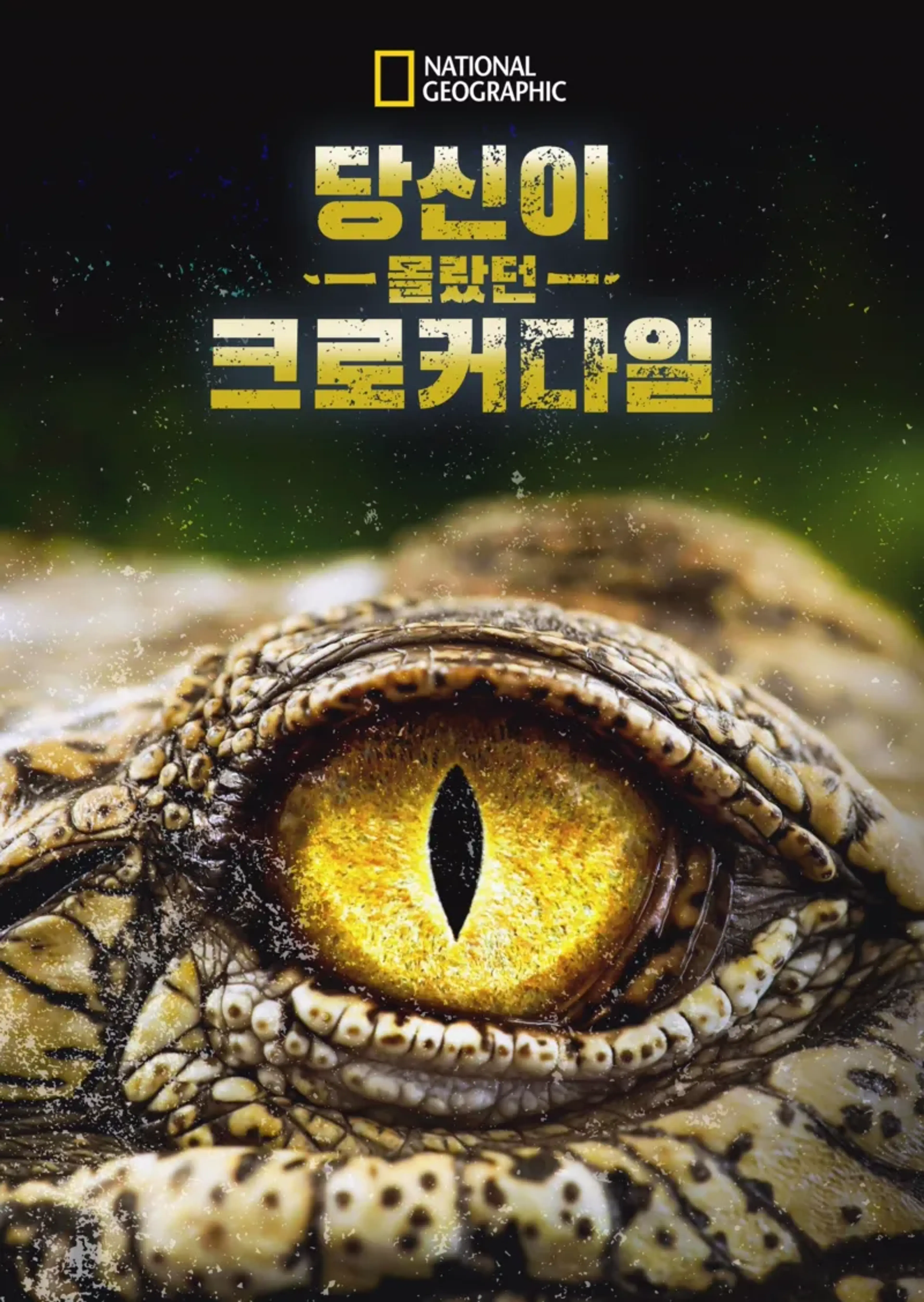 당신이 몰랐던 크로커다일