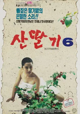 산딸기 6