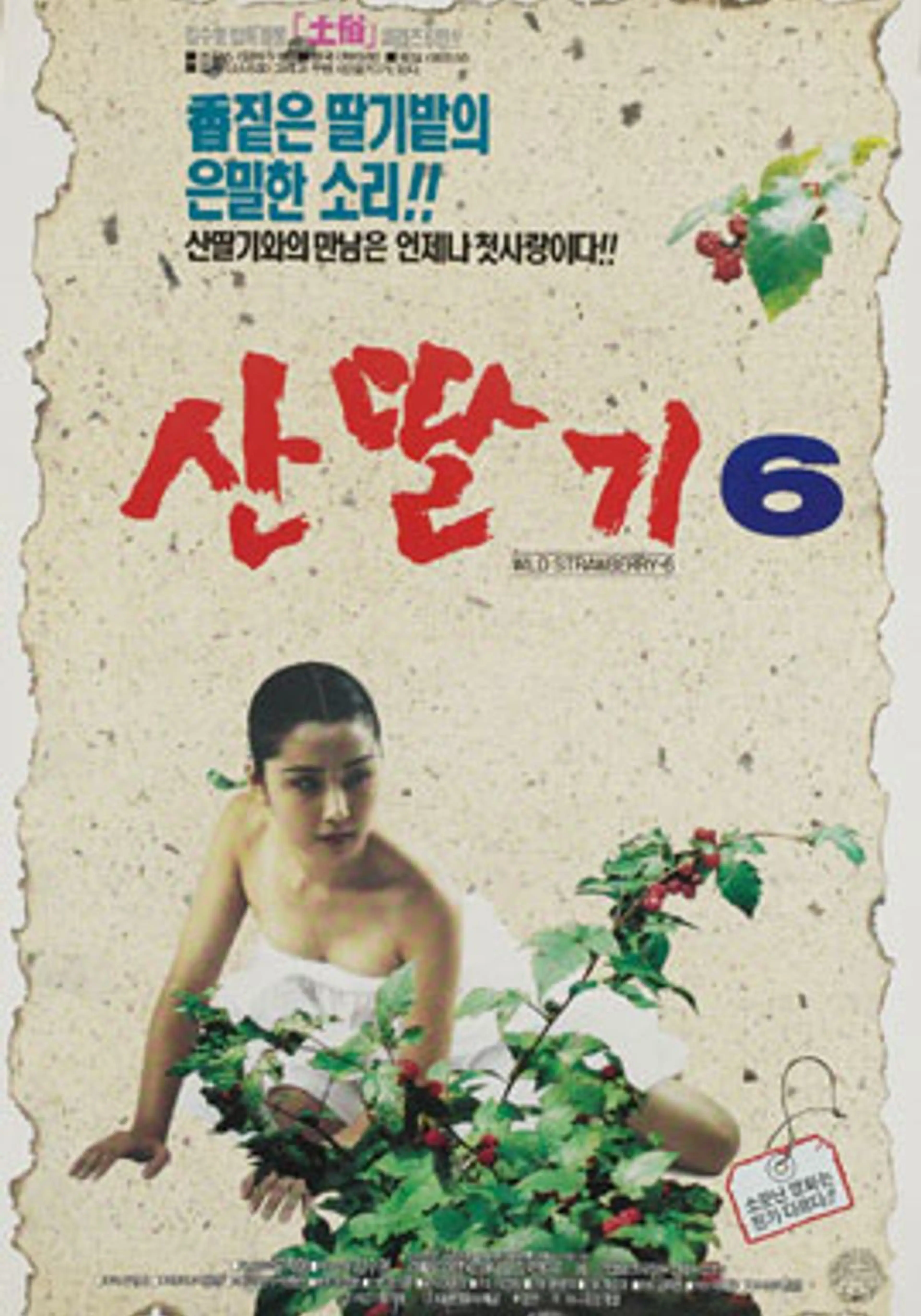 산딸기 6