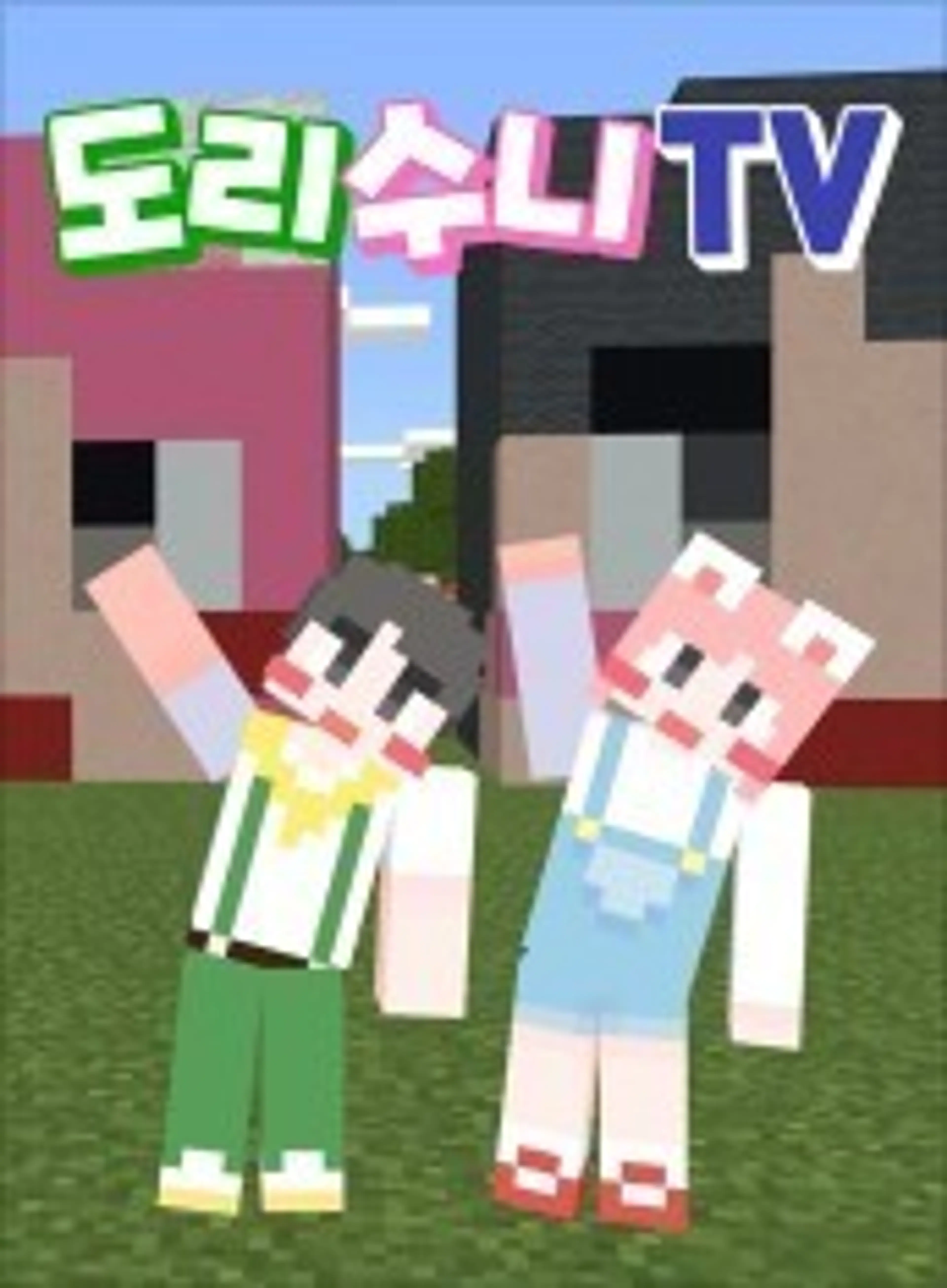 도리수니TV