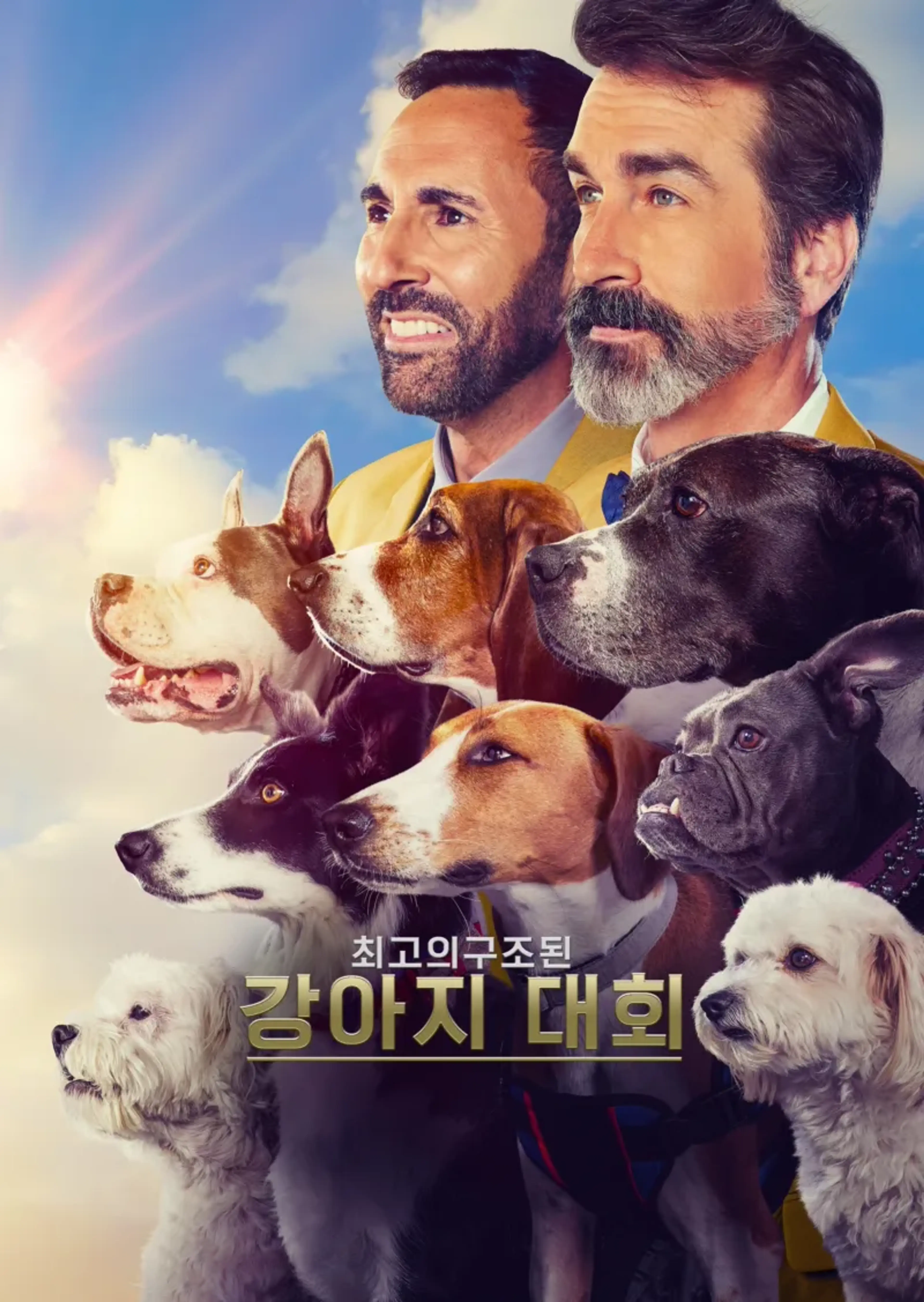 최고의 구조된 강아지 대회