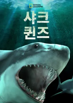 샤크 퀸즈