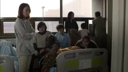 새들이 돌아오는 시간