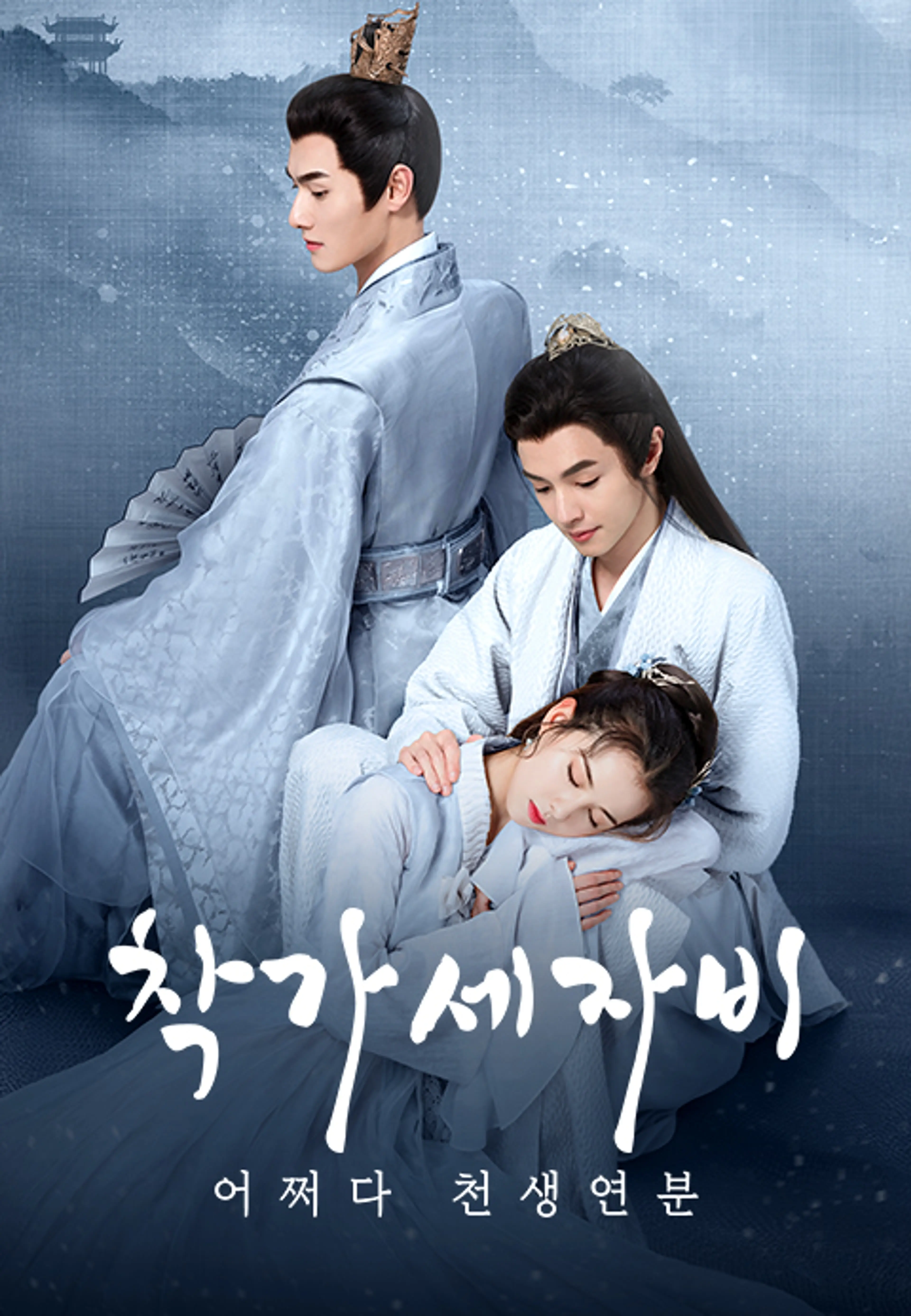 착가세자비: 어쩌다 천생연분
