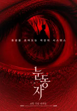 눈동자