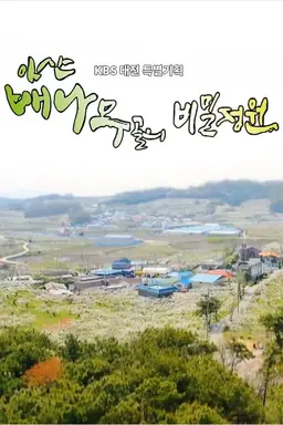 추석 특집 아산 배나무골의 비밀정원