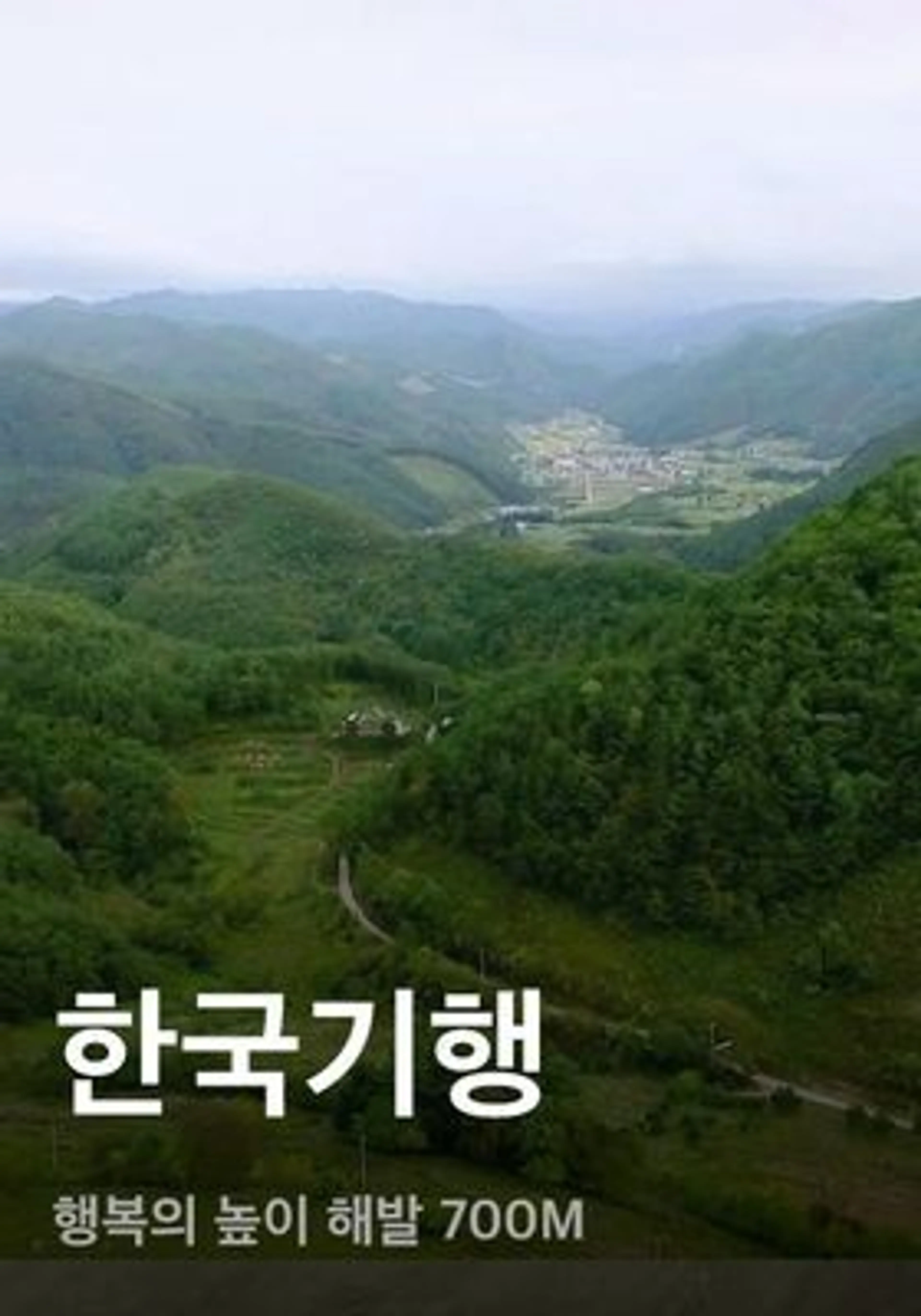 한국기행 - 행복의 높이 해발 700M