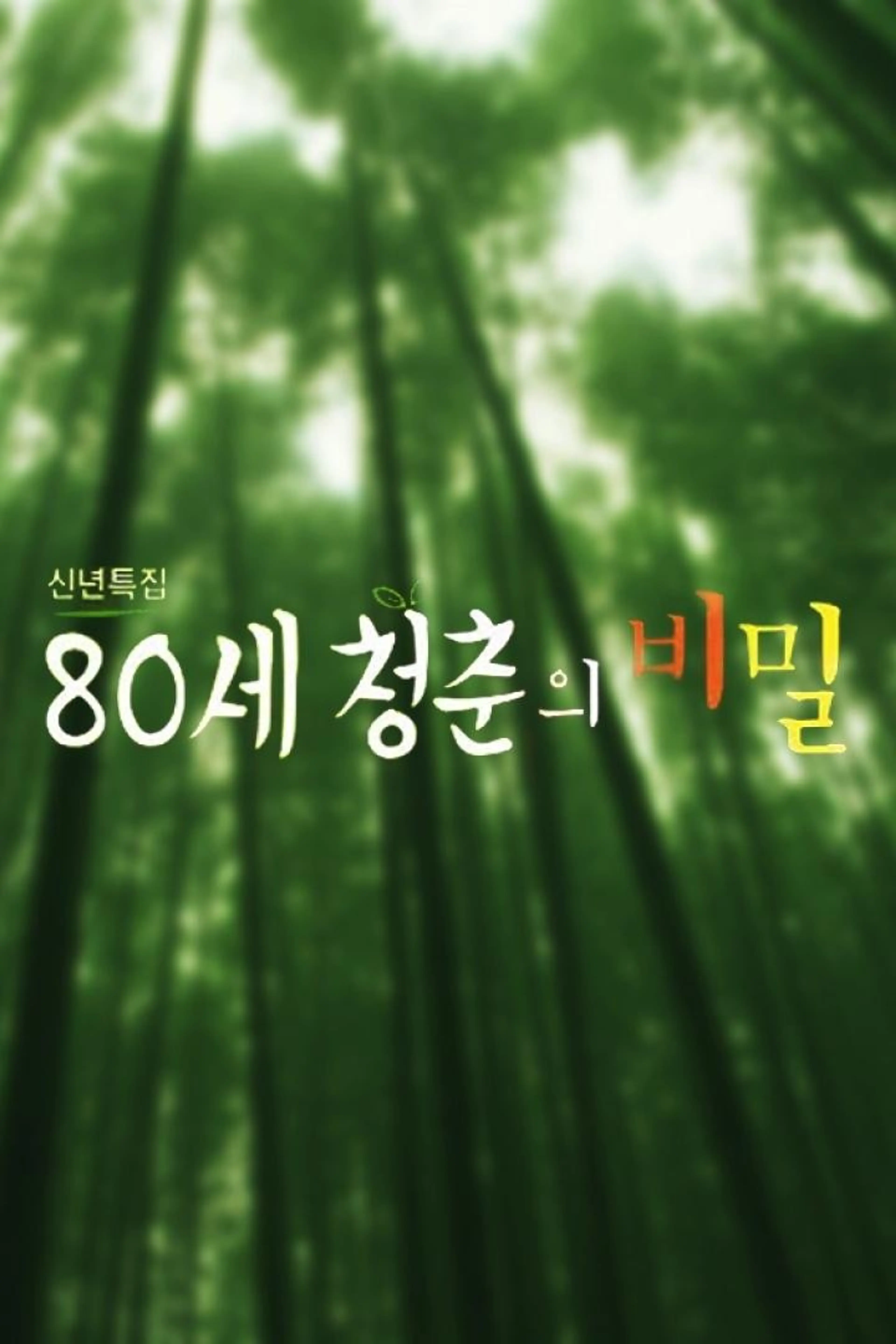 신년 특집 80세 청춘의 비밀