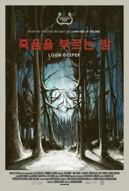 죽음을 부르는 밤