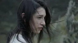 히드라