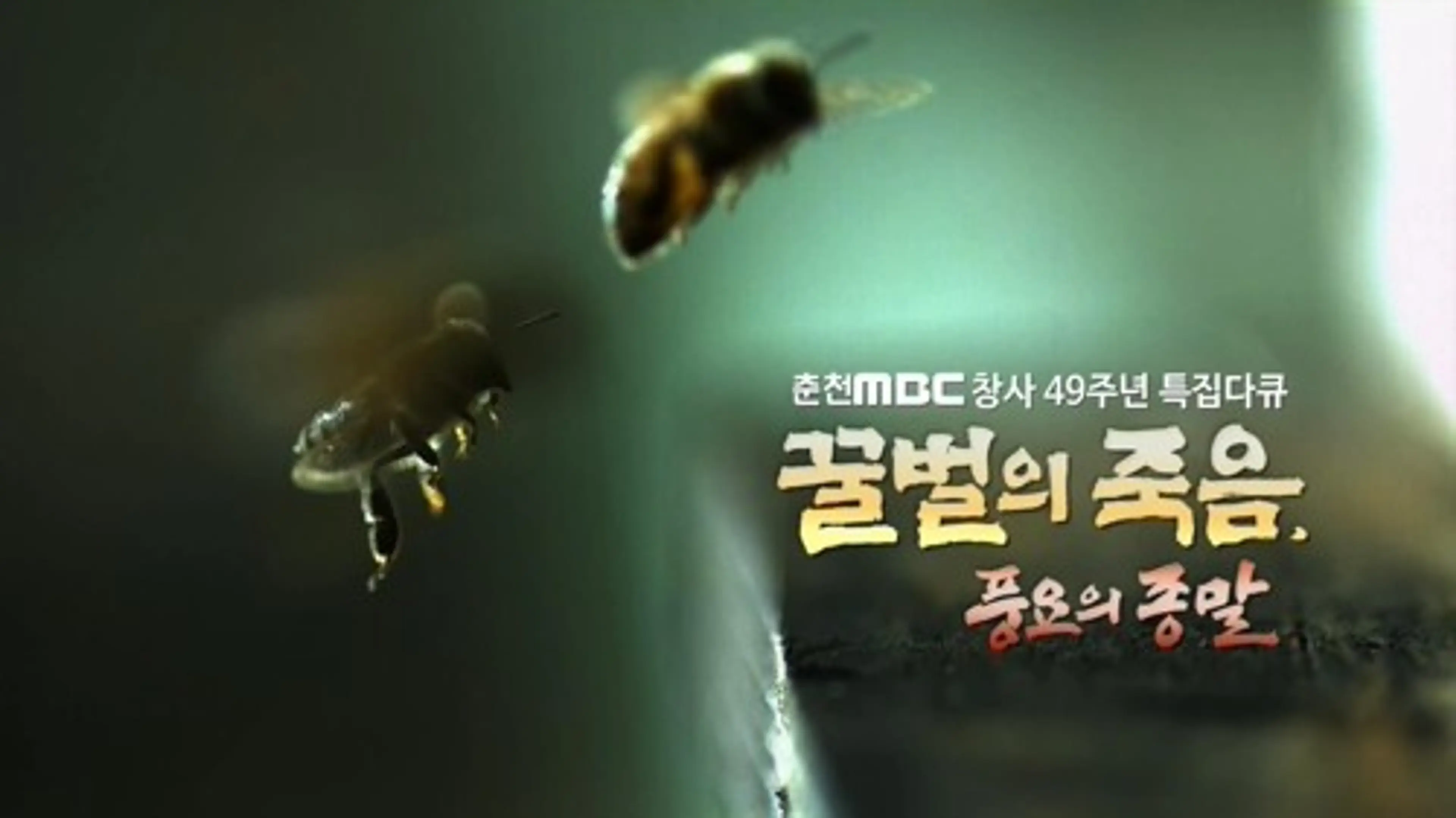 꿀벌의 죽음, 풍요의 종말