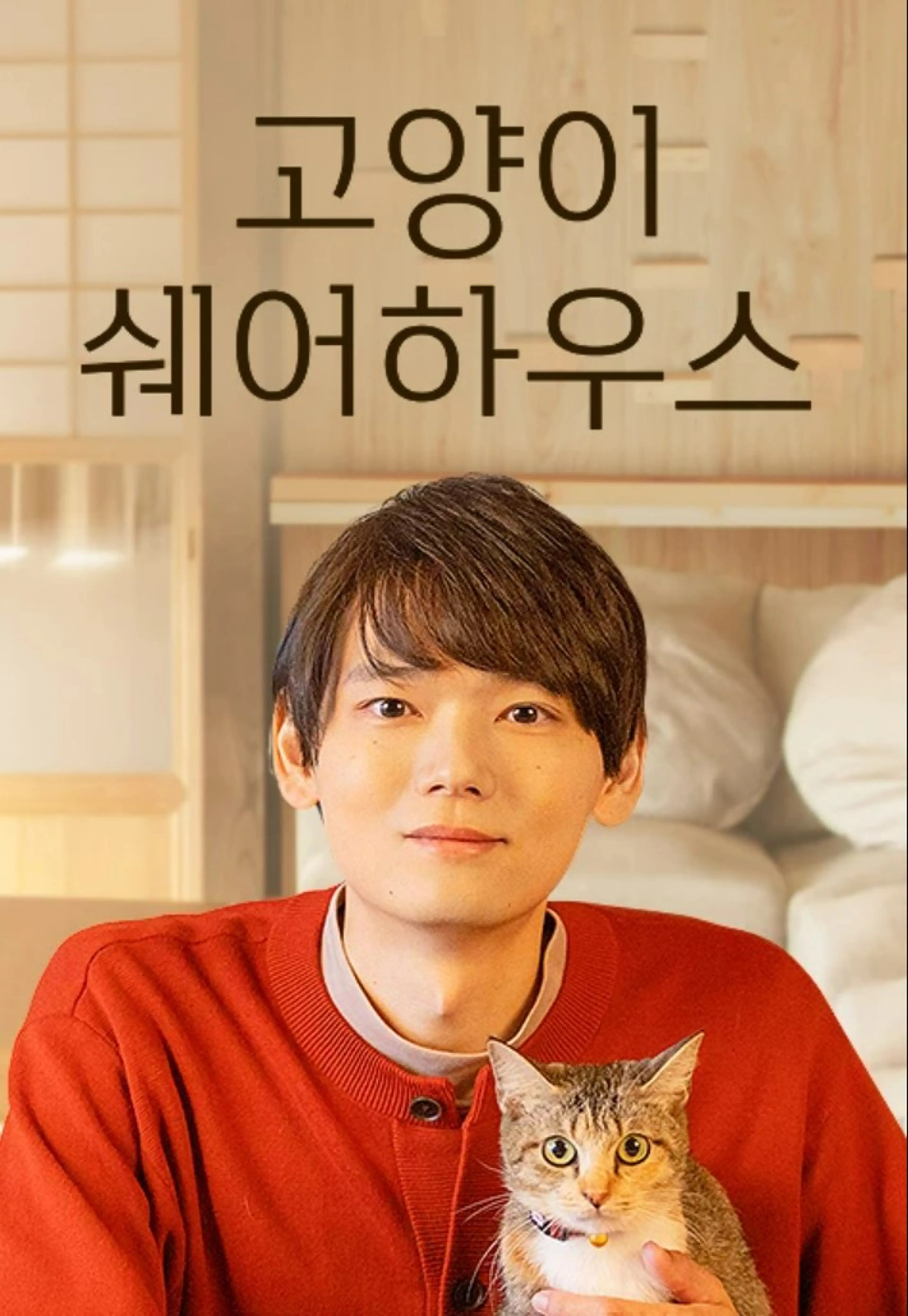 고양이 쉐어하우스