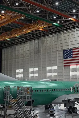 다운폴: 더 보잉 케이스