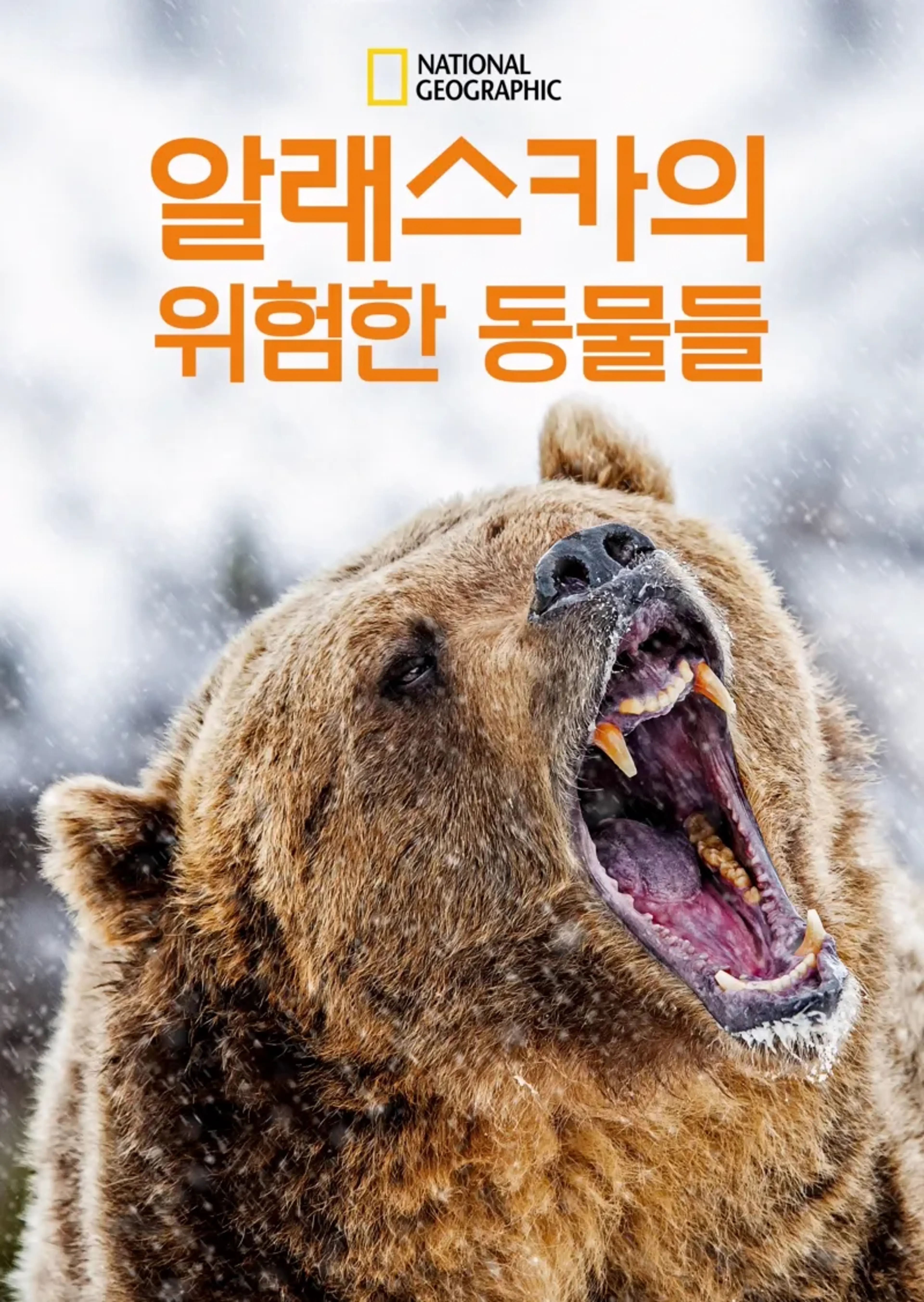 알래스카의 위험한 동물들